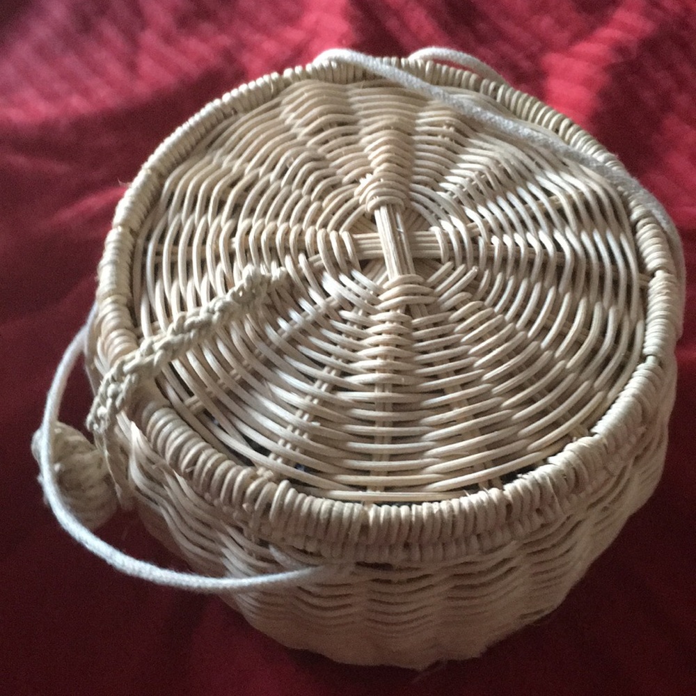 Zara Straw Circle Box Bag - EUC